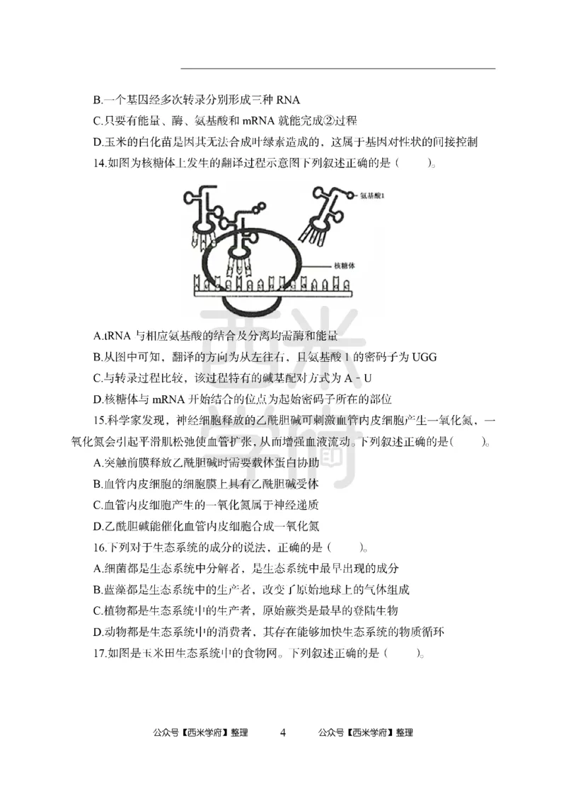 24上-高中笔试科目三《学科知识与教学能力》模拟卷1-高中生物-模拟预测卷_4-教培资料-26年最新资料-同步更新_初中高中教资_03科三专项（进去保存报考的学科即可）_高中