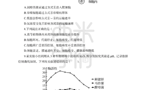 24上-高中笔试科目三《学科知识与教学能力》模拟卷1-高中生物-模拟预测卷_4-教培资料-26年最新资料-同步更新_初中高中教资_03科三专项（进去保存报考的学科即可）_高中