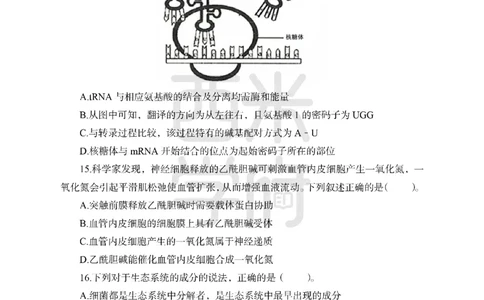 24上-高中笔试科目三《学科知识与教学能力》模拟卷1-高中生物-模拟预测卷_4-教培资料-26年最新资料-同步更新_初中高中教资_03科三专项（进去保存报考的学科即可）_高中