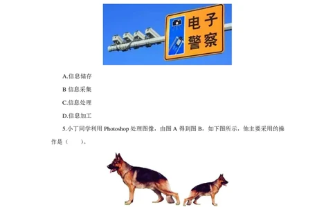 24上信息技术学科知识与教学能力&middot;全真押题卷&middot;高中（一）_4-教培资料-26年最新资料-同步更新_初中高中教资_03科三专项（进去保存报考的学科即可）_高中_6.押题考前押题卷