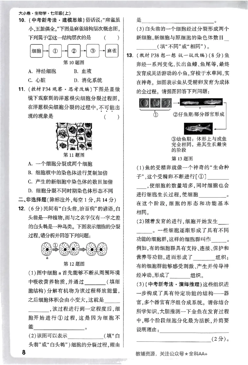 2026《万唯大小卷&bull;生物》7上周测小卷(RJ)_2026万唯系列预习复习_2026版初中《万唯大小卷》7年级上册（全科多版本）_2026《万唯大小卷&bull;生物》7上(RJ)