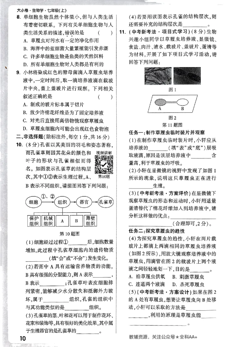 2026《万唯大小卷&bull;生物》7上周测小卷(RJ)_2026万唯系列预习复习_2026版初中《万唯大小卷》7年级上册（全科多版本）_2026《万唯大小卷&bull;生物》7上(RJ)