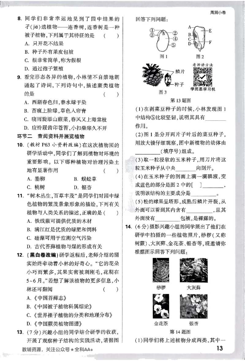 2026《万唯大小卷&bull;生物》7上周测小卷(RJ)_2026万唯系列预习复习_2026版初中《万唯大小卷》7年级上册（全科多版本）_2026《万唯大小卷&bull;生物》7上(RJ)