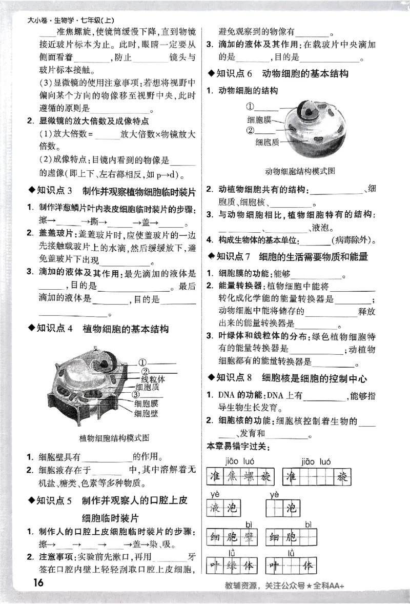 2026《万唯大小卷&bull;生物》7上周测小卷(RJ)_2026万唯系列预习复习_2026版初中《万唯大小卷》7年级上册（全科多版本）_2026《万唯大小卷&bull;生物》7上(RJ)