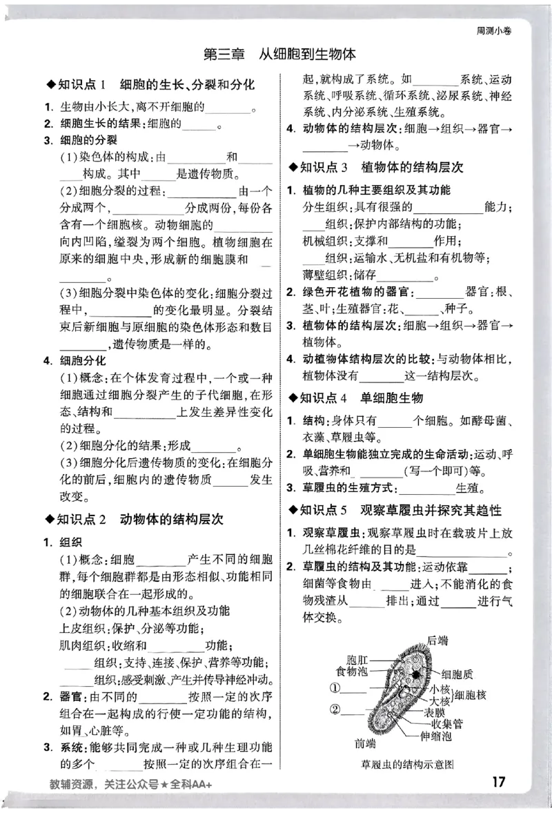 2026《万唯大小卷&bull;生物》7上周测小卷(RJ)_2026万唯系列预习复习_2026版初中《万唯大小卷》7年级上册（全科多版本）_2026《万唯大小卷&bull;生物》7上(RJ)