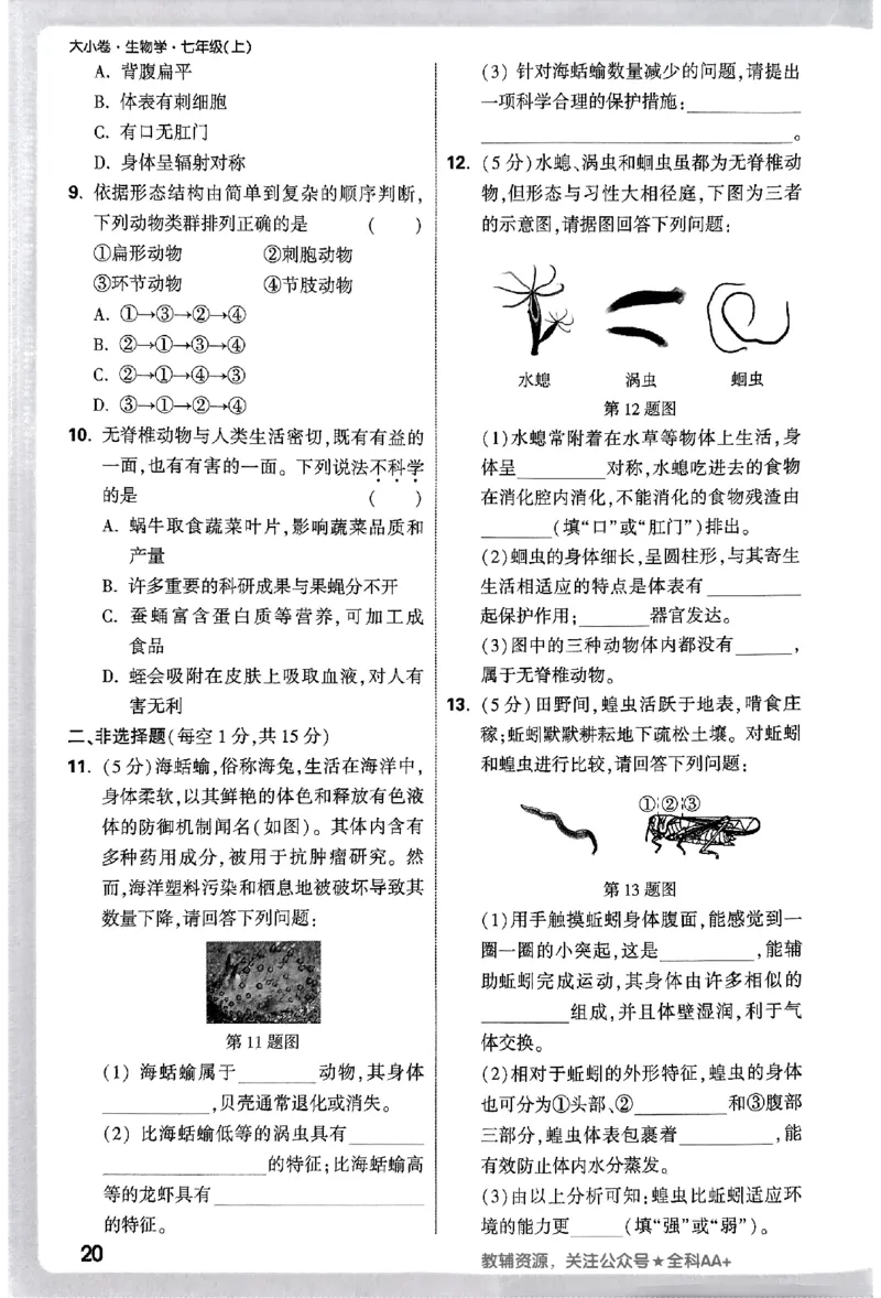 2026《万唯大小卷&bull;生物》7上周测小卷(RJ)_2026万唯系列预习复习_2026版初中《万唯大小卷》7年级上册（全科多版本）_2026《万唯大小卷&bull;生物》7上(RJ)