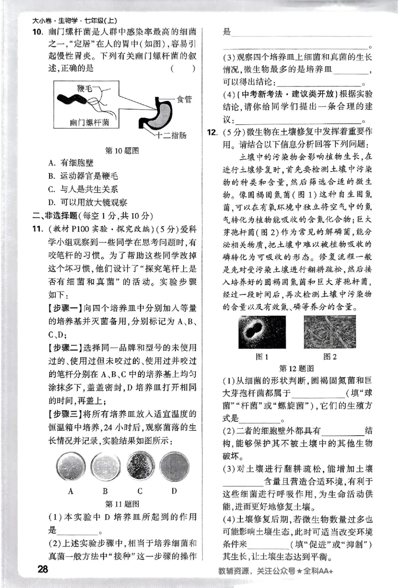 2026《万唯大小卷&bull;生物》7上周测小卷(RJ)_2026万唯系列预习复习_2026版初中《万唯大小卷》7年级上册（全科多版本）_2026《万唯大小卷&bull;生物》7上(RJ)
