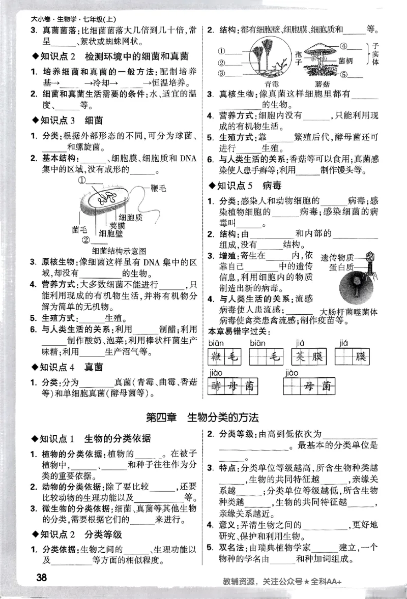 2026《万唯大小卷&bull;生物》7上周测小卷(RJ)_2026万唯系列预习复习_2026版初中《万唯大小卷》7年级上册（全科多版本）_2026《万唯大小卷&bull;生物》7上(RJ)