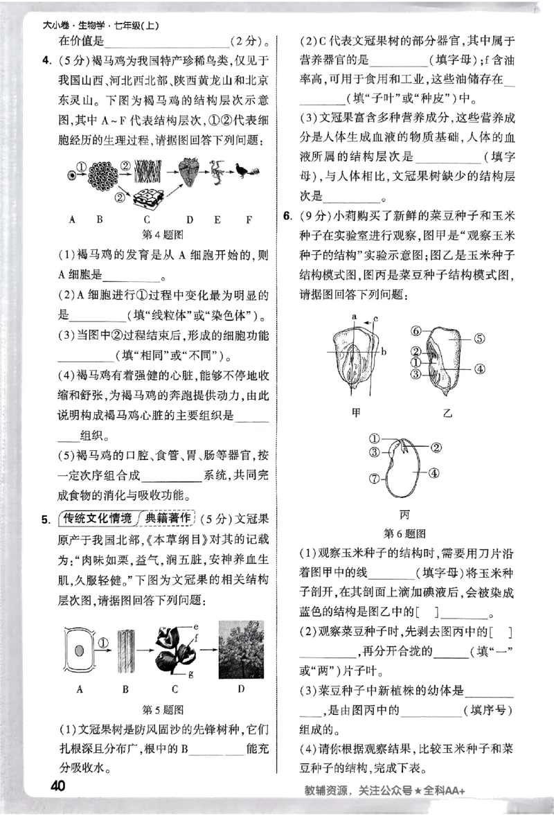 2026《万唯大小卷&bull;生物》7上周测小卷(RJ)_2026万唯系列预习复习_2026版初中《万唯大小卷》7年级上册（全科多版本）_2026《万唯大小卷&bull;生物》7上(RJ)
