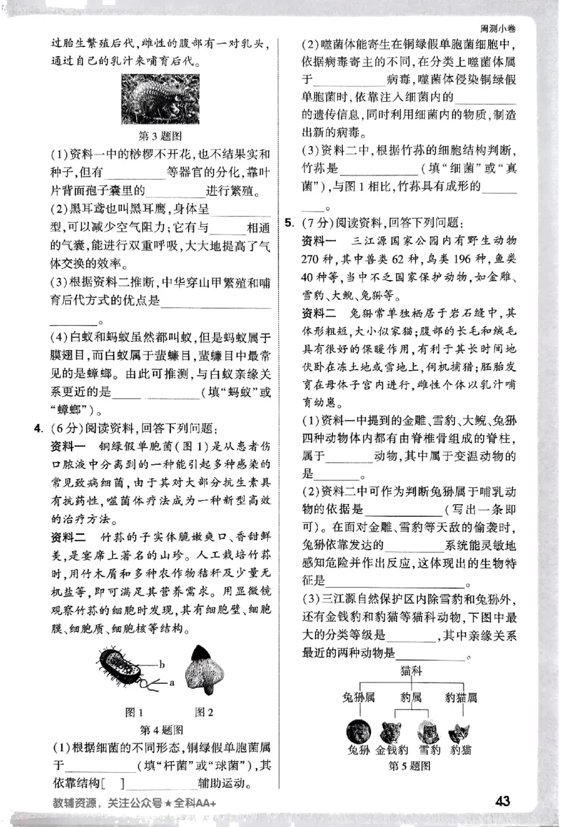 2026《万唯大小卷&bull;生物》7上周测小卷(RJ)_2026万唯系列预习复习_2026版初中《万唯大小卷》7年级上册（全科多版本）_2026《万唯大小卷&bull;生物》7上(RJ)