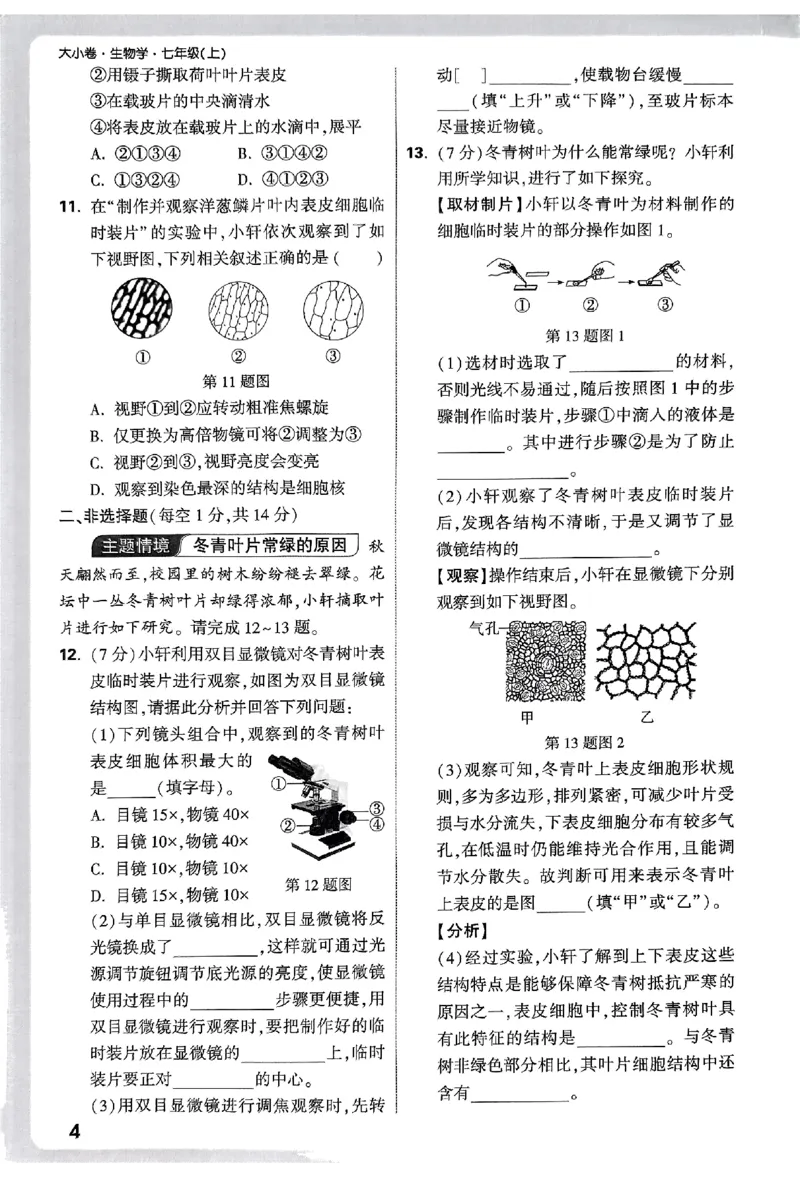 2026《万唯大小卷&bull;生物》7上周测小卷(RJ)_2026万唯系列预习复习_2026版初中《万唯大小卷》7年级上册（全科多版本）_2026《万唯大小卷&bull;生物》7上(RJ)