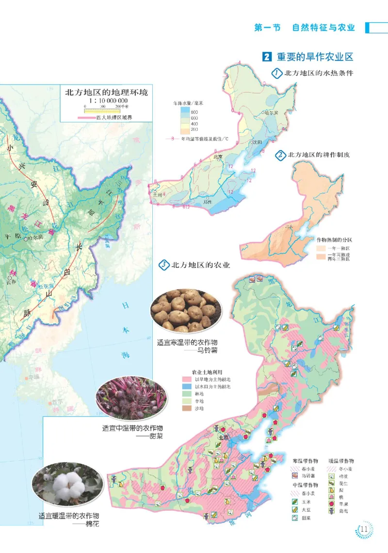 人教版8年级地理下册地理图册_4-教培资料-26年最新资料-同步更新_初中高中教资_03科三专项（进去保存报考的学科即可）_02科三专项（笔记真题思维导图教学设计版本二）