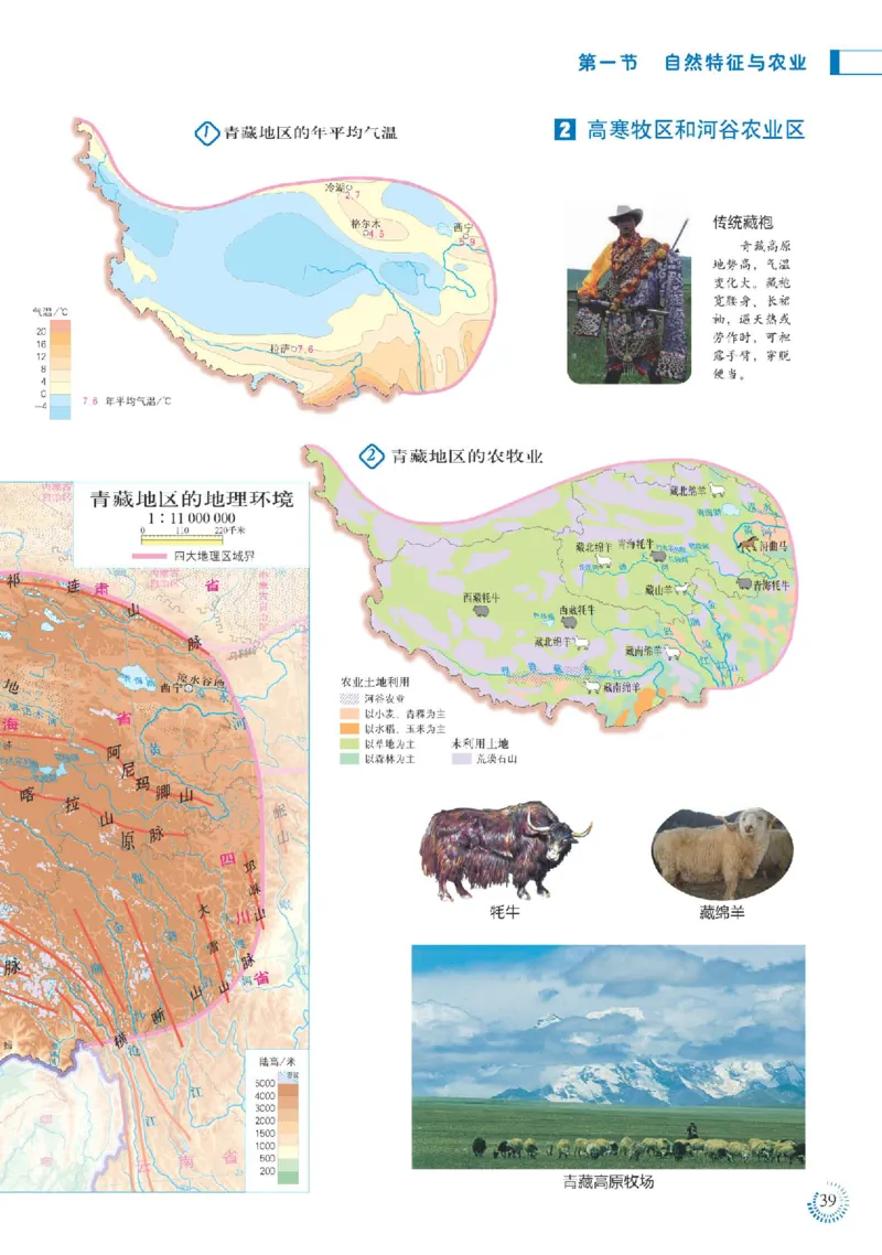 人教版8年级地理下册地理图册_4-教培资料-26年最新资料-同步更新_初中高中教资_03科三专项（进去保存报考的学科即可）_02科三专项（笔记真题思维导图教学设计版本二）