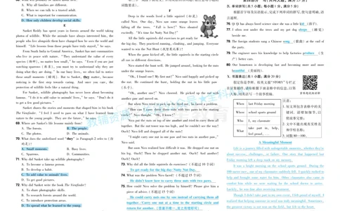 2026《中考英语45套》安徽答案_2026《中考》数学、英语、物理+化学安徽、河北、河南、山西、辽宁、湖北_2026《中考英语45套》全国地方版_2026《中考英语45套》安徽