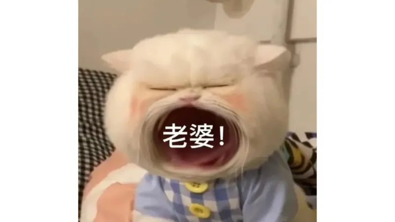 03.25腿姐马原强化3_2026考公资料_（49）政治理论合集_政治理论合集_2025考研政治_02.腿姐_02.强化课程_00.课件