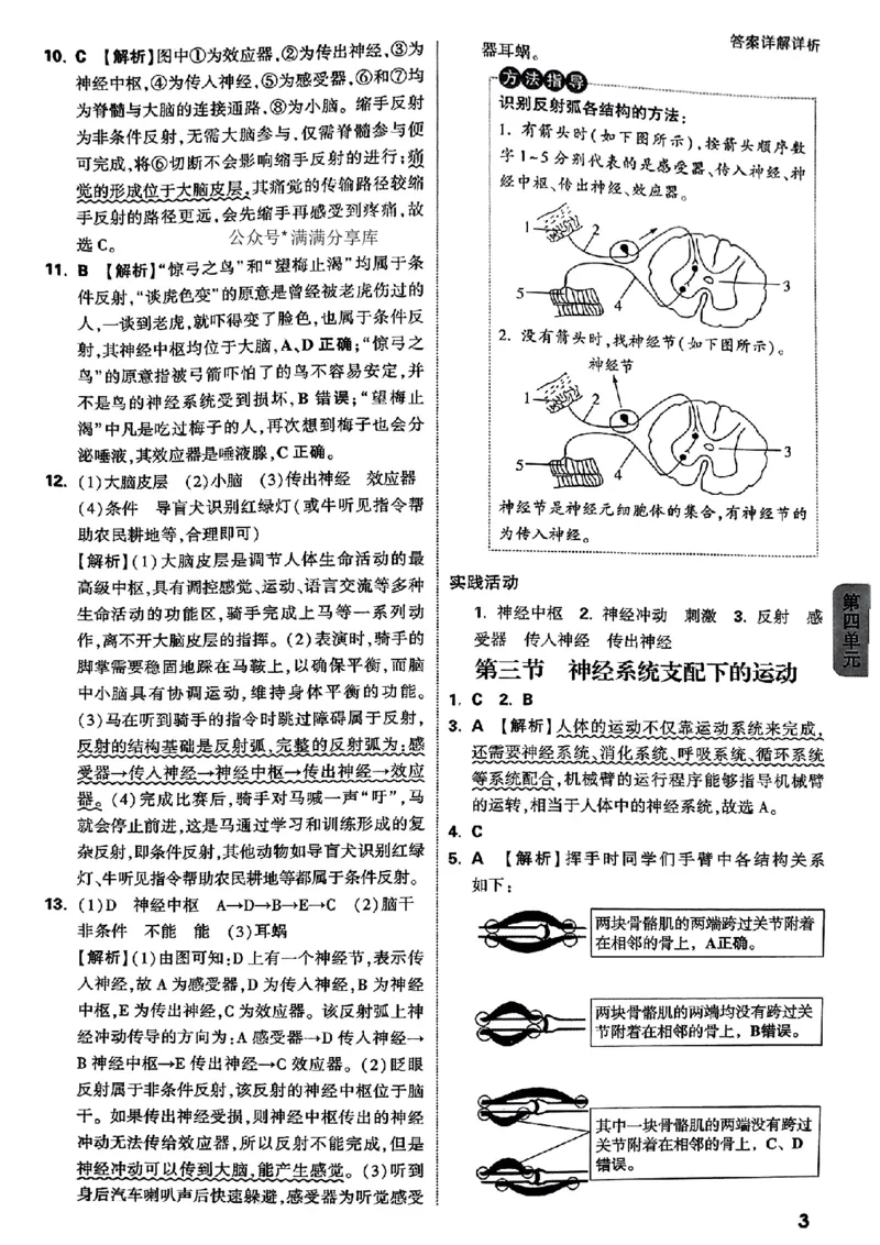 2026万唯生物情景题八上含答案_2026万唯系列预习复习_2026版初中《万唯情景题》与中考新考法8年级上册（生物）