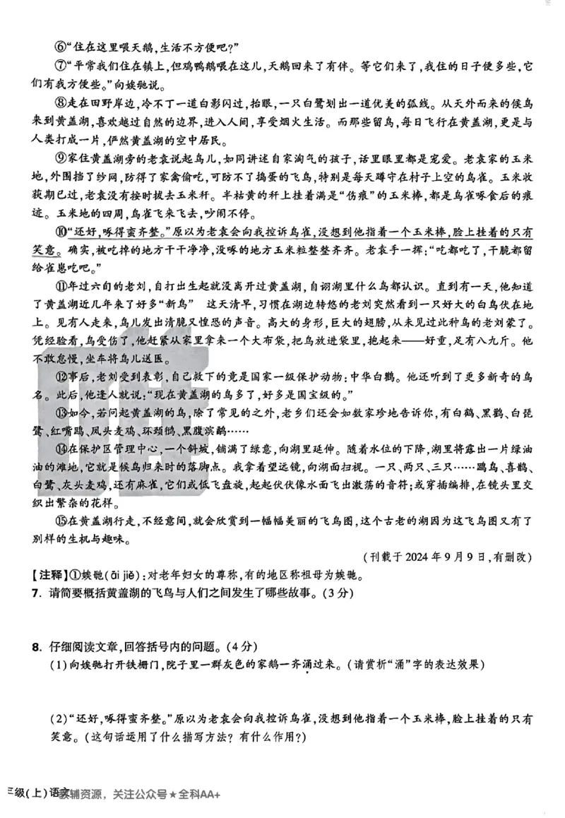 2026《万唯大小卷&bull;语文》7上大卷_2026万唯系列预习复习_2026版初中《万唯大小卷》7年级上册（全科多版本）_2026《万唯大小卷&bull;语文》7上