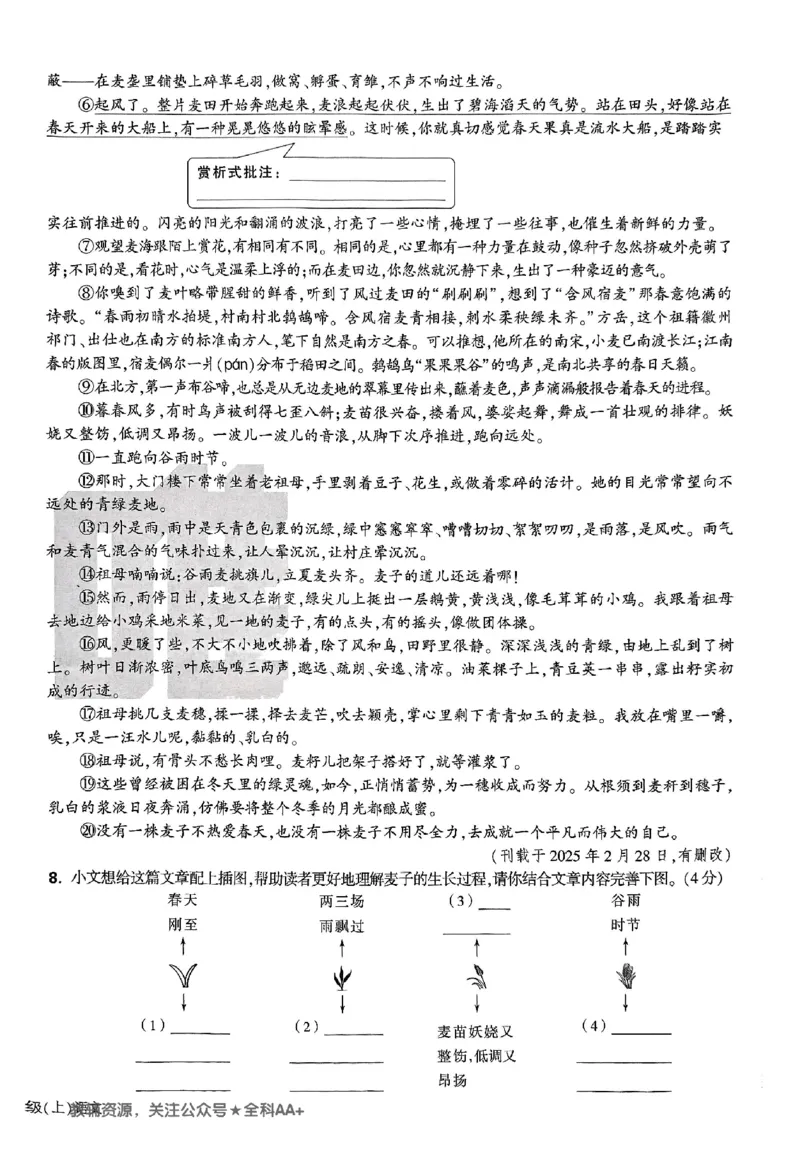 2026《万唯大小卷&bull;语文》7上大卷_2026万唯系列预习复习_2026版初中《万唯大小卷》7年级上册（全科多版本）_2026《万唯大小卷&bull;语文》7上