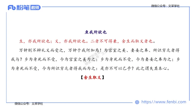 25上教资系统班中外文学1&mdash;乐多_4-教培资料-26年最新资料-同步更新_初中高中教资_03科三专项（进去保存报考的学科即可）_01科目三FB网课、三色速记手册、知识点导图等推荐