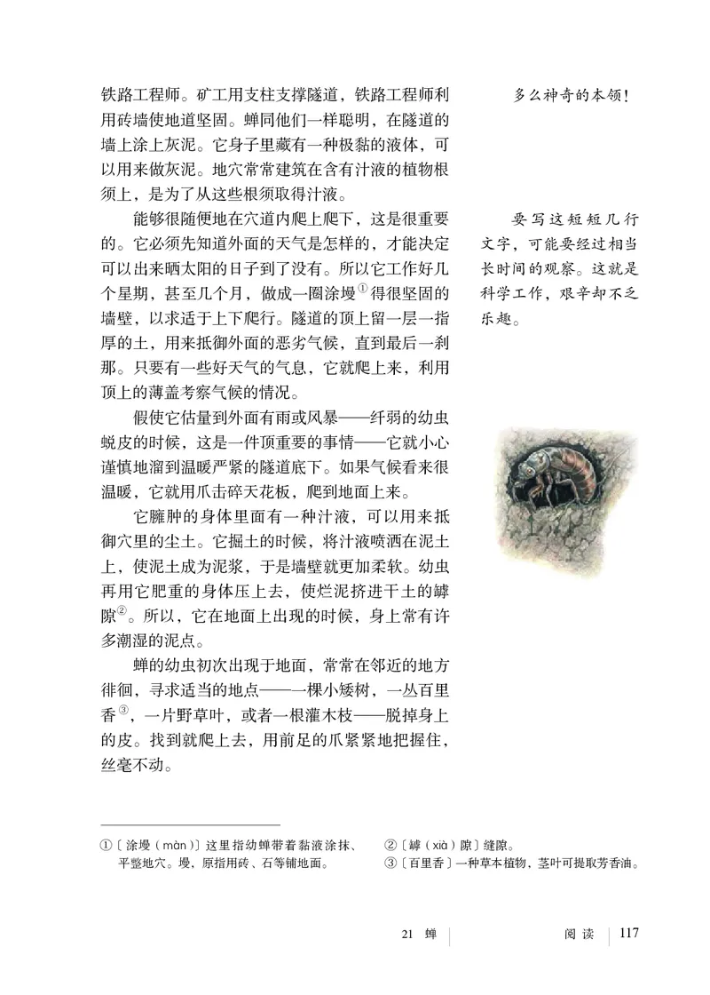 人教版8年级语文上册高清教材_4-教培资料-26年最新资料-同步更新_初中高中教资_03科三专项（进去保存报考的学科即可）_02科三专项（笔记真题思维导图教学设计版本二）