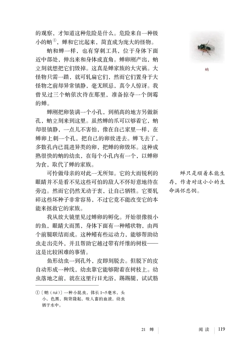 人教版8年级语文上册高清教材_4-教培资料-26年最新资料-同步更新_初中高中教资_03科三专项（进去保存报考的学科即可）_02科三专项（笔记真题思维导图教学设计版本二）