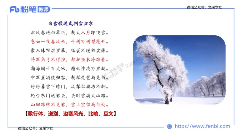 25上教资系统班中外文学3&mdash;乐多_4-教培资料-26年最新资料-同步更新_初中高中教资_03科三专项（进去保存报考的学科即可）_01科目三FB网课、三色速记手册、知识点导图等推荐