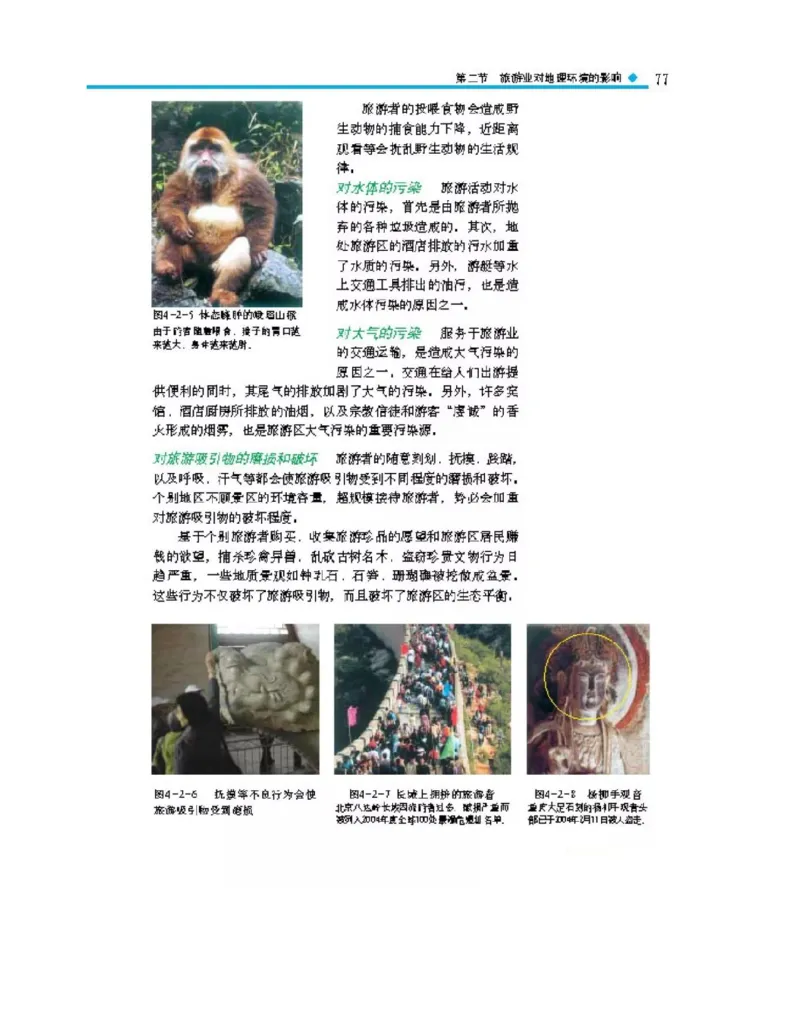 中图版高中地理选修3_4-教培资料-26年最新资料-同步更新_初中高中教资_03科三专项（进去保存报考的学科即可）_02科三专项（笔记真题思维导图教学设计版本二）