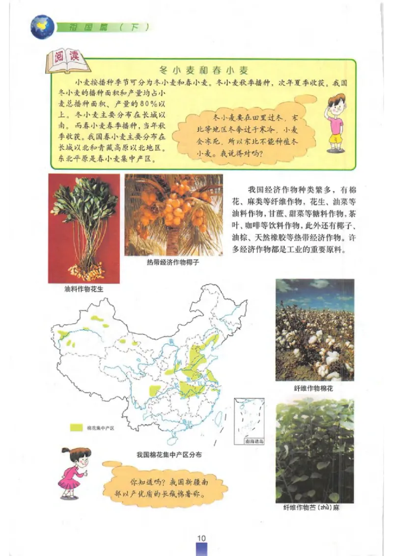 七年级下册地理沪教版电子课本_4-教培资料-26年最新资料-同步更新_初中高中教资_03科三专项（进去保存报考的学科即可）_02科三专项（笔记真题思维导图教学设计版本二）