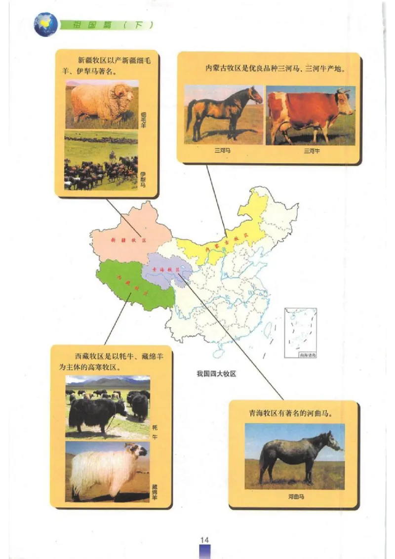 七年级下册地理沪教版电子课本_4-教培资料-26年最新资料-同步更新_初中高中教资_03科三专项（进去保存报考的学科即可）_02科三专项（笔记真题思维导图教学设计版本二）