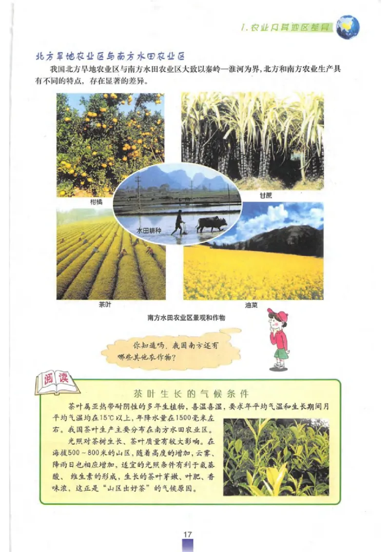 七年级下册地理沪教版电子课本_4-教培资料-26年最新资料-同步更新_初中高中教资_03科三专项（进去保存报考的学科即可）_02科三专项（笔记真题思维导图教学设计版本二）