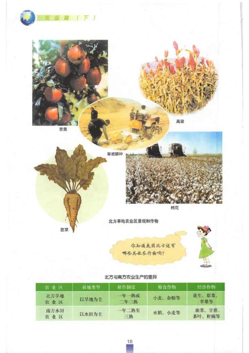 七年级下册地理沪教版电子课本_4-教培资料-26年最新资料-同步更新_初中高中教资_03科三专项（进去保存报考的学科即可）_02科三专项（笔记真题思维导图教学设计版本二）
