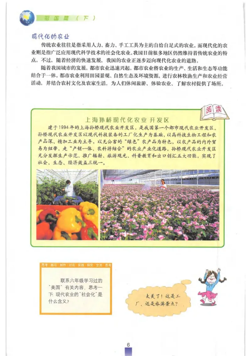 七年级下册地理沪教版电子课本_4-教培资料-26年最新资料-同步更新_初中高中教资_03科三专项（进去保存报考的学科即可）_02科三专项（笔记真题思维导图教学设计版本二）