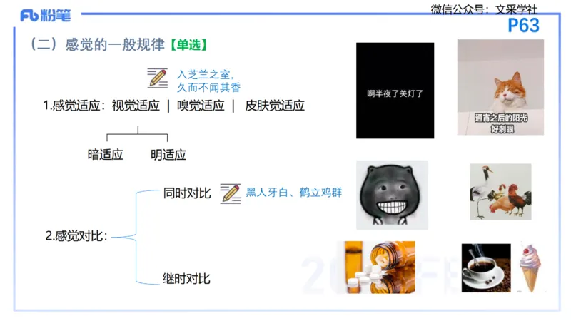 25下教育教学知识与能力理论精讲7-开海玲_4-教培资料-26年最新资料-同步更新_小学教资_012025下FB小学系统班_小学25下-教育知识与能力_1.理论精讲_讲义