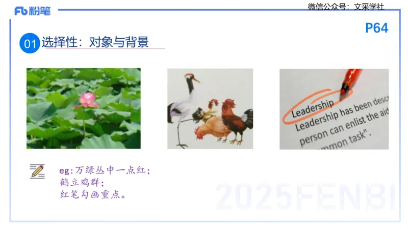 25下教育教学知识与能力理论精讲7-开海玲_4-教培资料-26年最新资料-同步更新_小学教资_012025下FB小学系统班_小学25下-教育知识与能力_1.理论精讲_讲义