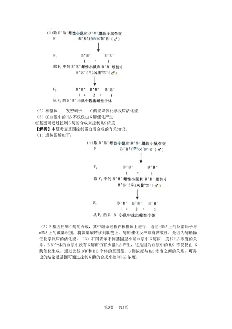2009年高考生物试卷（浙江）（解析卷）_1.高考2025全国各省真题+答案_01.2008-2024全国高考真题（按省份分类）_22.浙江_2008-2024&middot;（浙江）生物高考真题