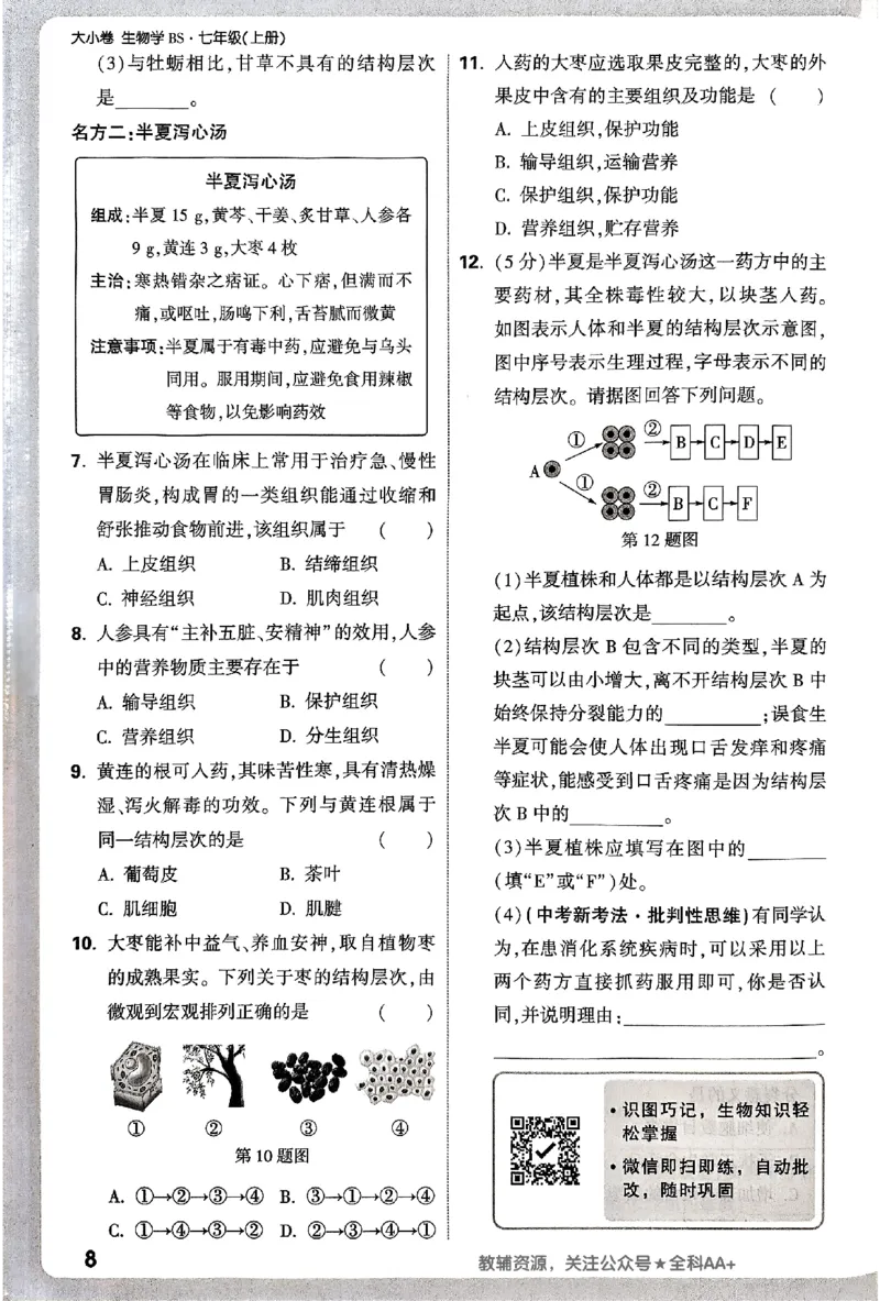 2026《万唯大小卷&bull;生物》7上周测小卷(BS)_2026万唯系列预习复习_2026版初中《万唯大小卷》7年级上册（全科多版本）_2026《万唯大小卷&bull;生物》7上(BS)