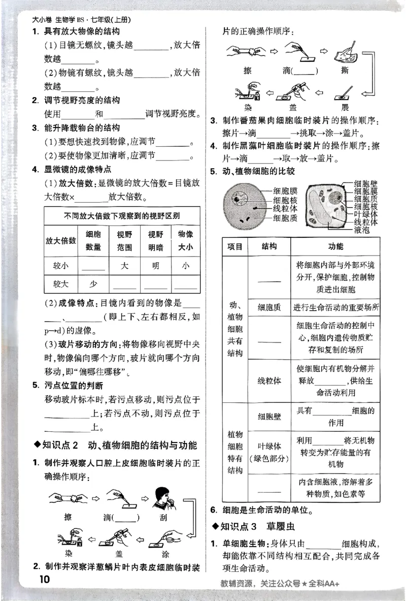 2026《万唯大小卷&bull;生物》7上周测小卷(BS)_2026万唯系列预习复习_2026版初中《万唯大小卷》7年级上册（全科多版本）_2026《万唯大小卷&bull;生物》7上(BS)