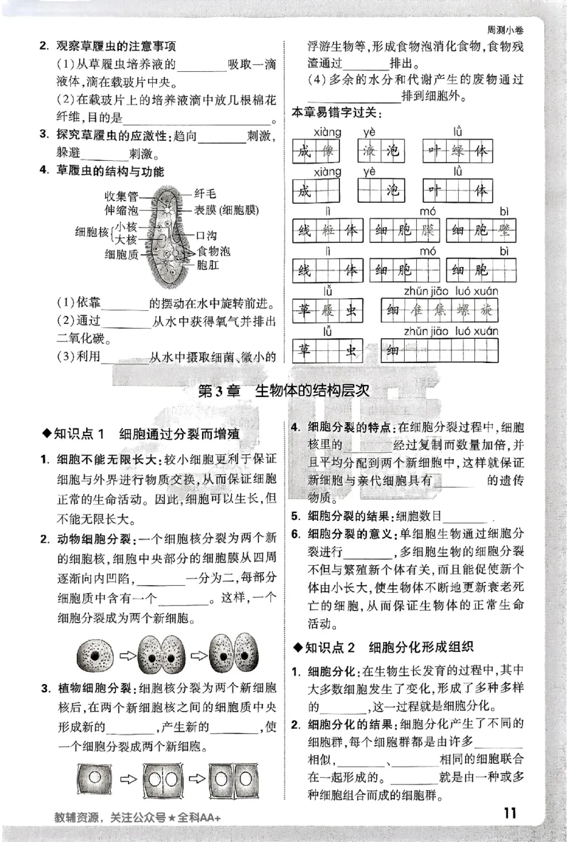 2026《万唯大小卷&bull;生物》7上周测小卷(BS)_2026万唯系列预习复习_2026版初中《万唯大小卷》7年级上册（全科多版本）_2026《万唯大小卷&bull;生物》7上(BS)