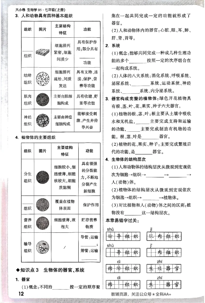 2026《万唯大小卷&bull;生物》7上周测小卷(BS)_2026万唯系列预习复习_2026版初中《万唯大小卷》7年级上册（全科多版本）_2026《万唯大小卷&bull;生物》7上(BS)