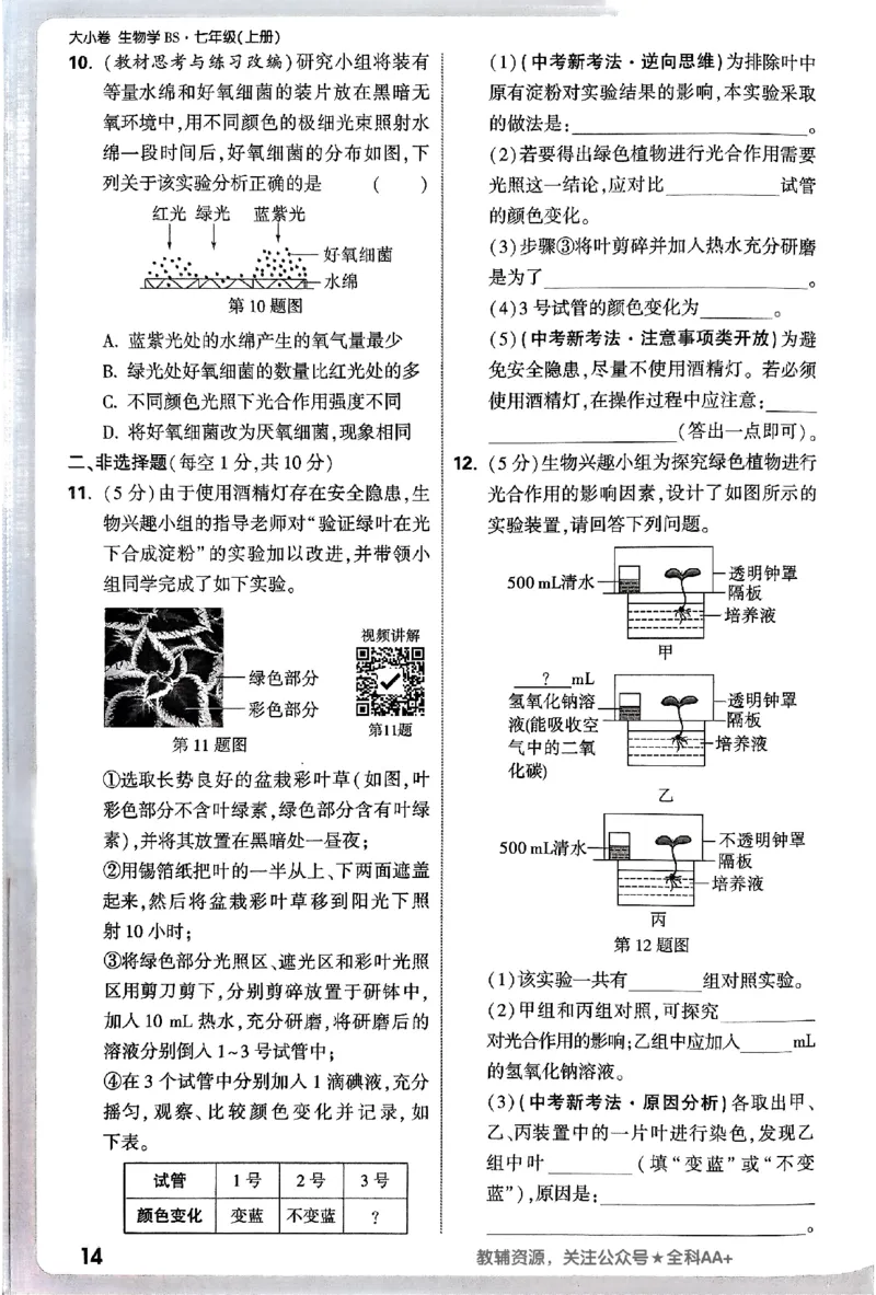 2026《万唯大小卷&bull;生物》7上周测小卷(BS)_2026万唯系列预习复习_2026版初中《万唯大小卷》7年级上册（全科多版本）_2026《万唯大小卷&bull;生物》7上(BS)