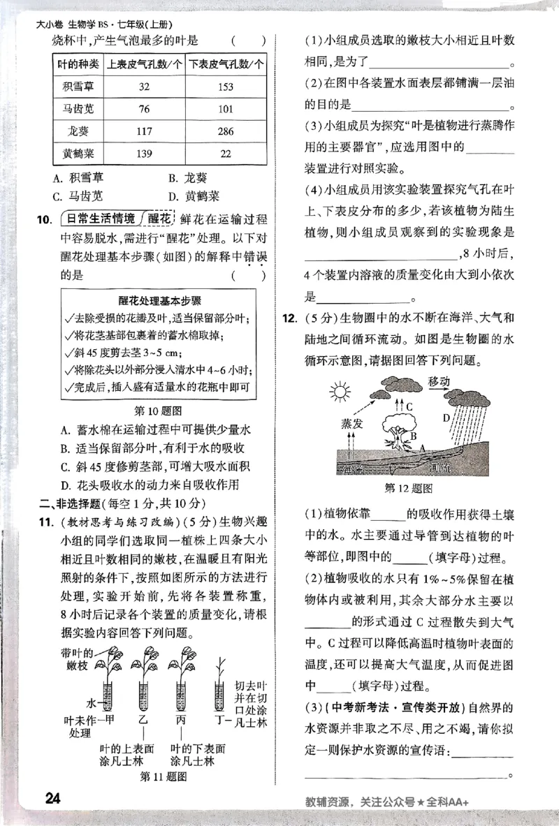 2026《万唯大小卷&bull;生物》7上周测小卷(BS)_2026万唯系列预习复习_2026版初中《万唯大小卷》7年级上册（全科多版本）_2026《万唯大小卷&bull;生物》7上(BS)