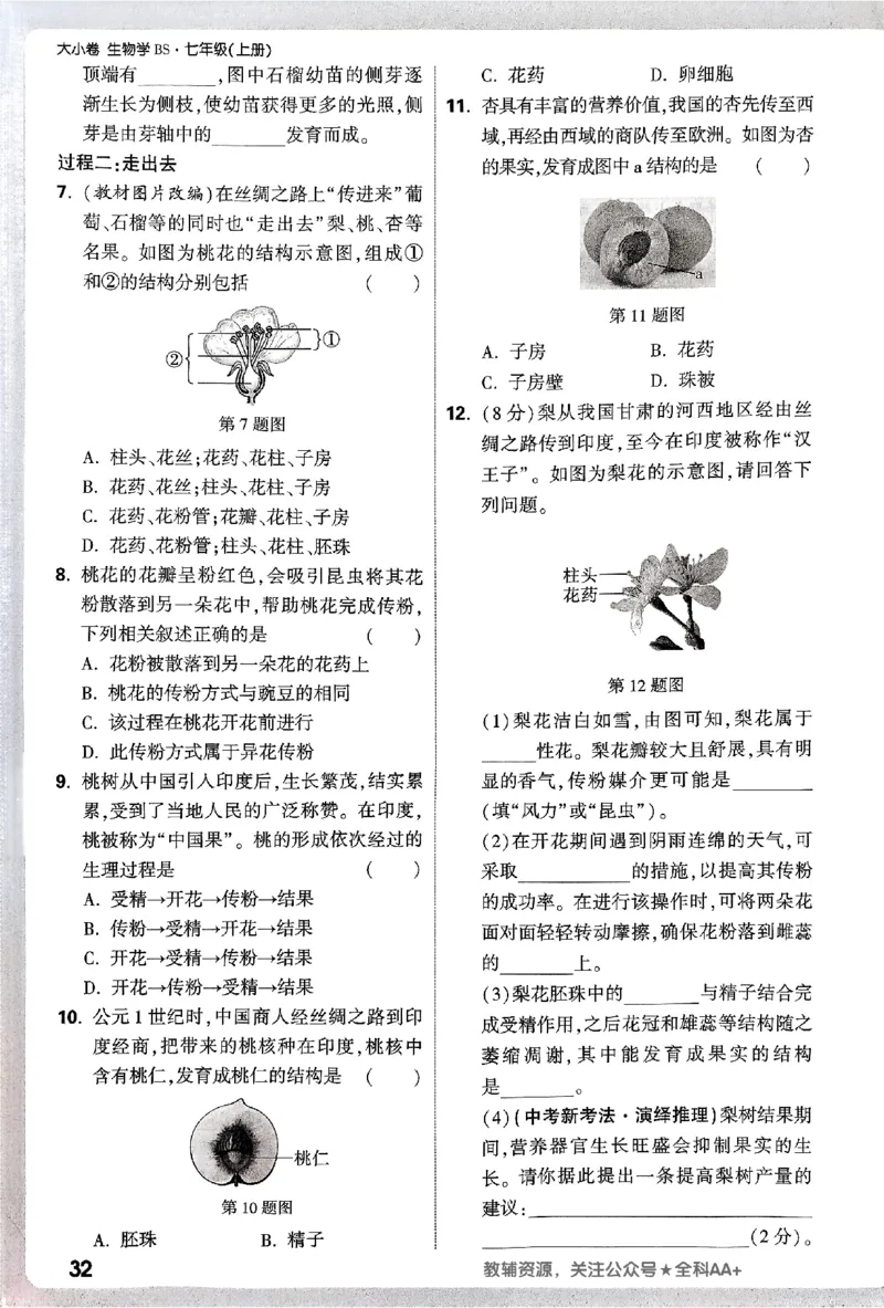 2026《万唯大小卷&bull;生物》7上周测小卷(BS)_2026万唯系列预习复习_2026版初中《万唯大小卷》7年级上册（全科多版本）_2026《万唯大小卷&bull;生物》7上(BS)