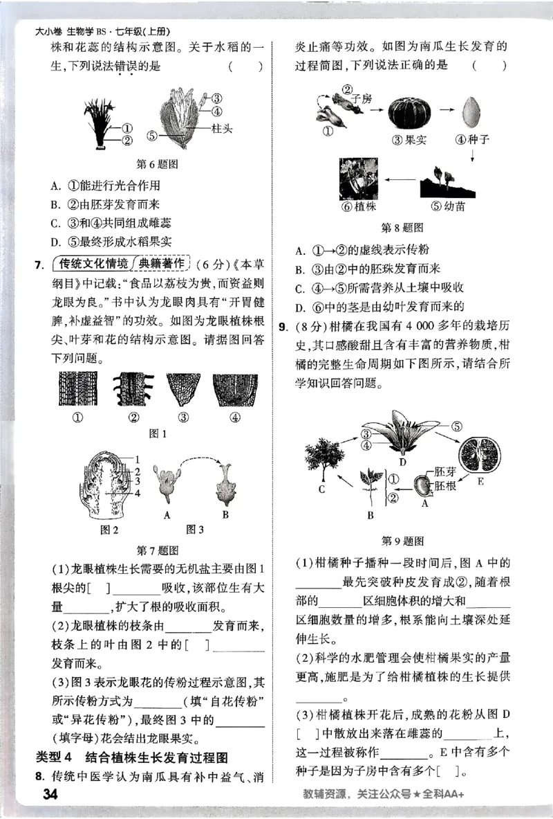 2026《万唯大小卷&bull;生物》7上周测小卷(BS)_2026万唯系列预习复习_2026版初中《万唯大小卷》7年级上册（全科多版本）_2026《万唯大小卷&bull;生物》7上(BS)