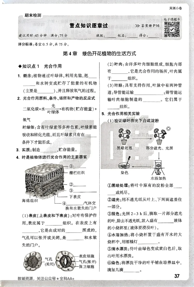 2026《万唯大小卷&bull;生物》7上周测小卷(BS)_2026万唯系列预习复习_2026版初中《万唯大小卷》7年级上册（全科多版本）_2026《万唯大小卷&bull;生物》7上(BS)