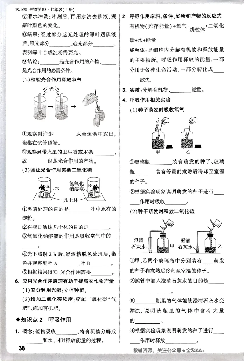 2026《万唯大小卷&bull;生物》7上周测小卷(BS)_2026万唯系列预习复习_2026版初中《万唯大小卷》7年级上册（全科多版本）_2026《万唯大小卷&bull;生物》7上(BS)