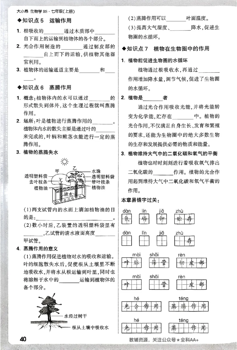 2026《万唯大小卷&bull;生物》7上周测小卷(BS)_2026万唯系列预习复习_2026版初中《万唯大小卷》7年级上册（全科多版本）_2026《万唯大小卷&bull;生物》7上(BS)