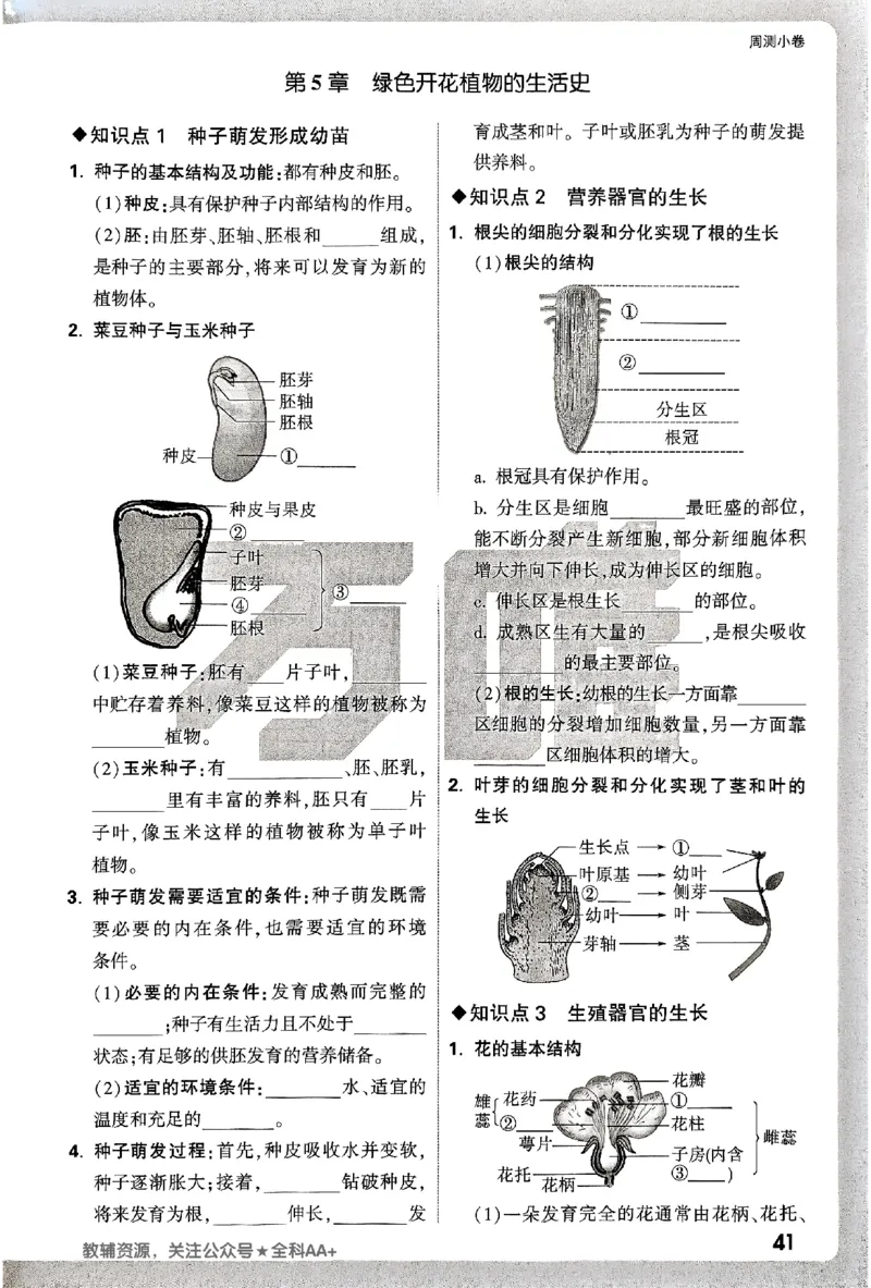 2026《万唯大小卷&bull;生物》7上周测小卷(BS)_2026万唯系列预习复习_2026版初中《万唯大小卷》7年级上册（全科多版本）_2026《万唯大小卷&bull;生物》7上(BS)
