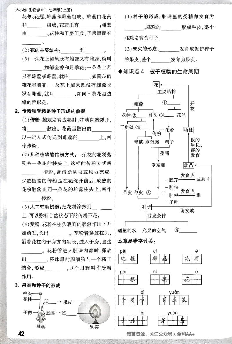 2026《万唯大小卷&bull;生物》7上周测小卷(BS)_2026万唯系列预习复习_2026版初中《万唯大小卷》7年级上册（全科多版本）_2026《万唯大小卷&bull;生物》7上(BS)