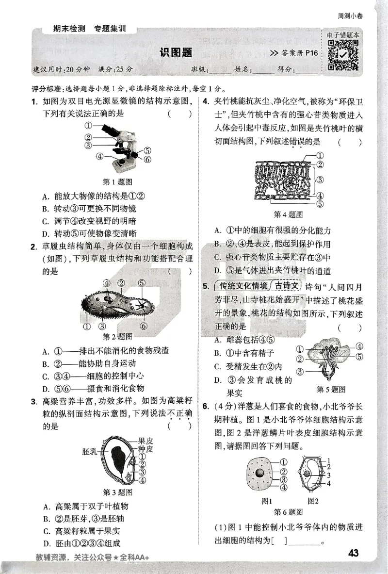 2026《万唯大小卷&bull;生物》7上周测小卷(BS)_2026万唯系列预习复习_2026版初中《万唯大小卷》7年级上册（全科多版本）_2026《万唯大小卷&bull;生物》7上(BS)