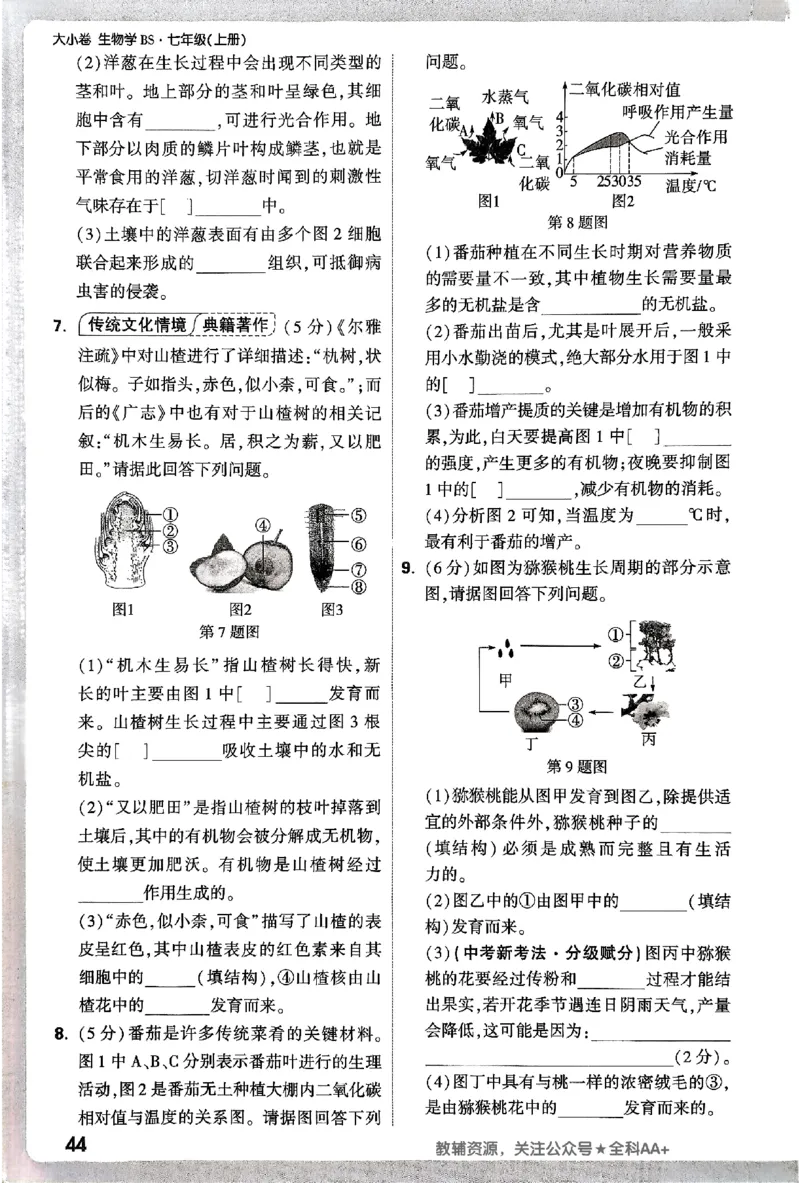 2026《万唯大小卷&bull;生物》7上周测小卷(BS)_2026万唯系列预习复习_2026版初中《万唯大小卷》7年级上册（全科多版本）_2026《万唯大小卷&bull;生物》7上(BS)
